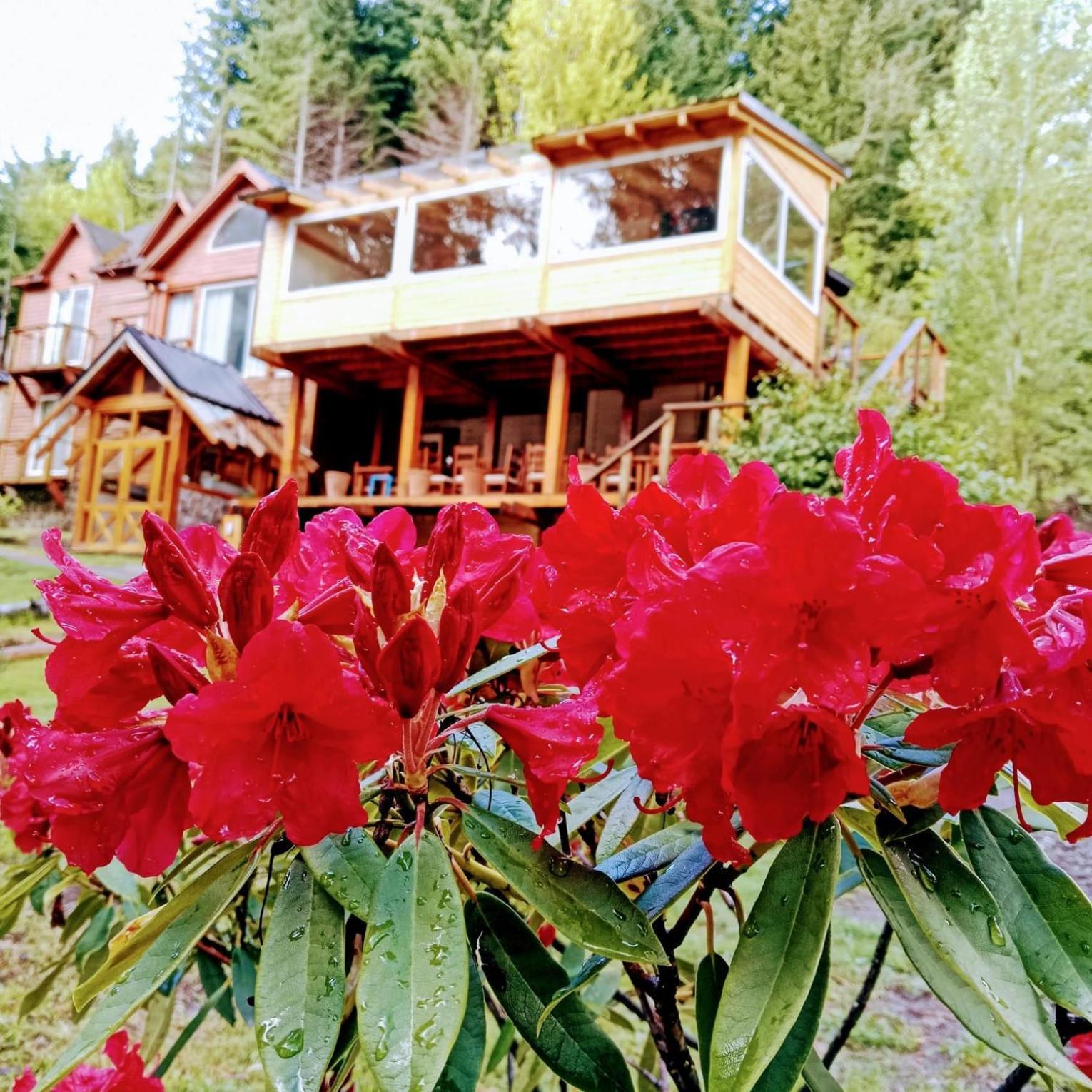 Hosteria Lekun Lekun Villa La Angostura Extérieur photo